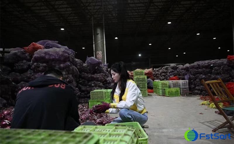 images/1653379845896vegetable sorter.jpg